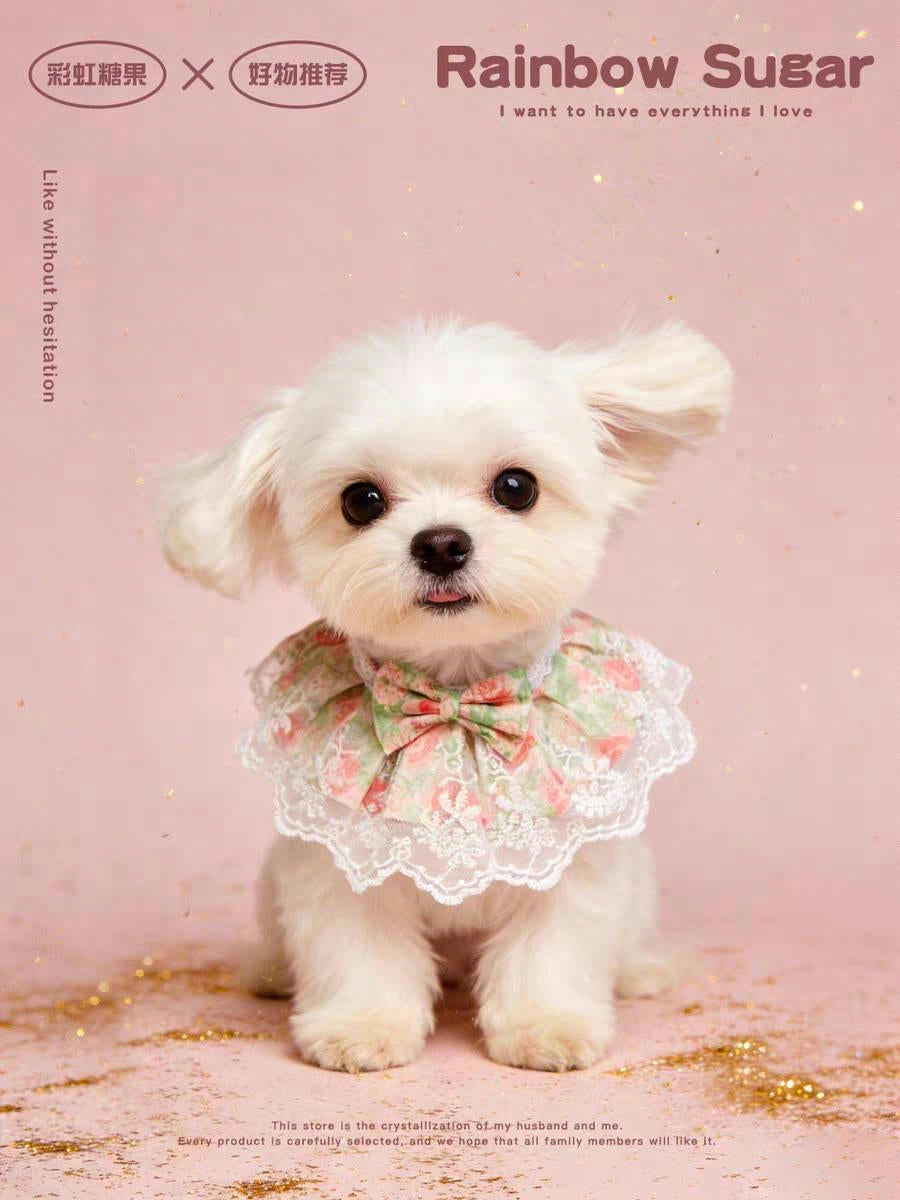 Original pet bib, suitable for cats and dogs